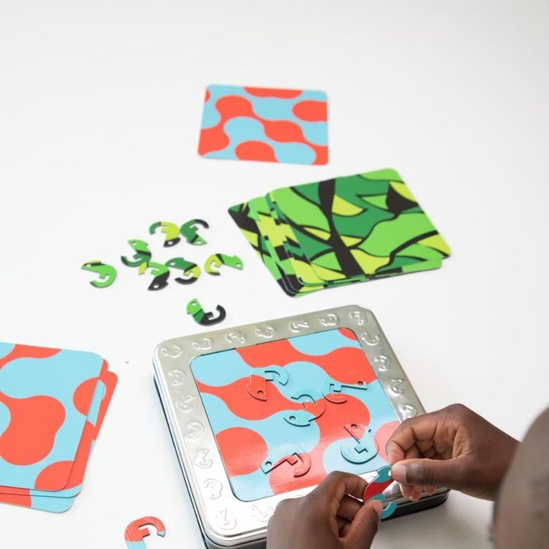 ONE IN A CHAMELEON, JUEGO DE INGENIO-5