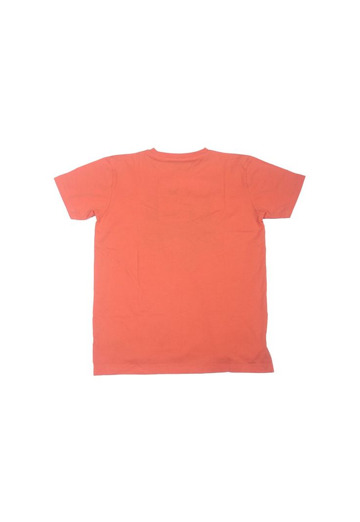 Polera Niño Naranja Pillin-1