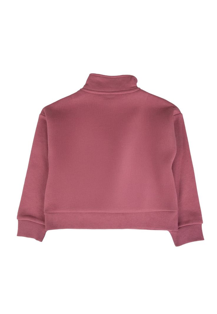 Polerón  Rosado Pillin ( PVB550-25ROS )-2