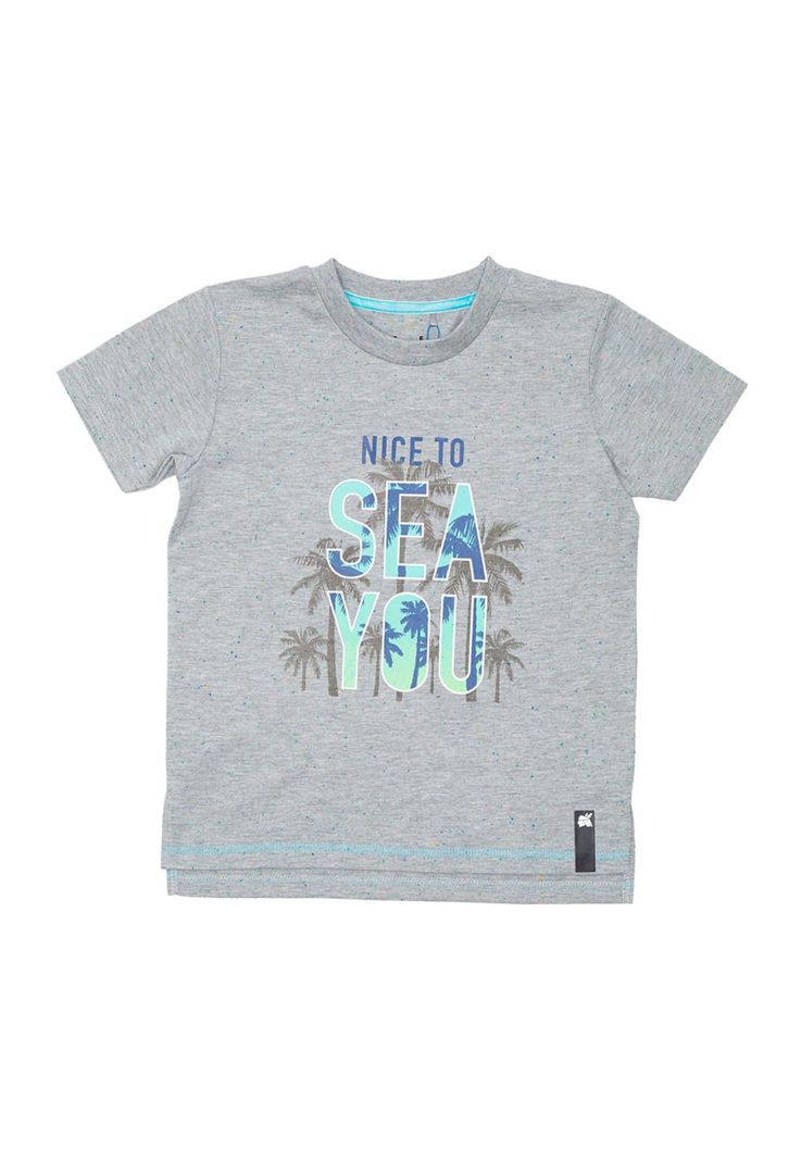 Polera Niño Gris Claro Pillin-0