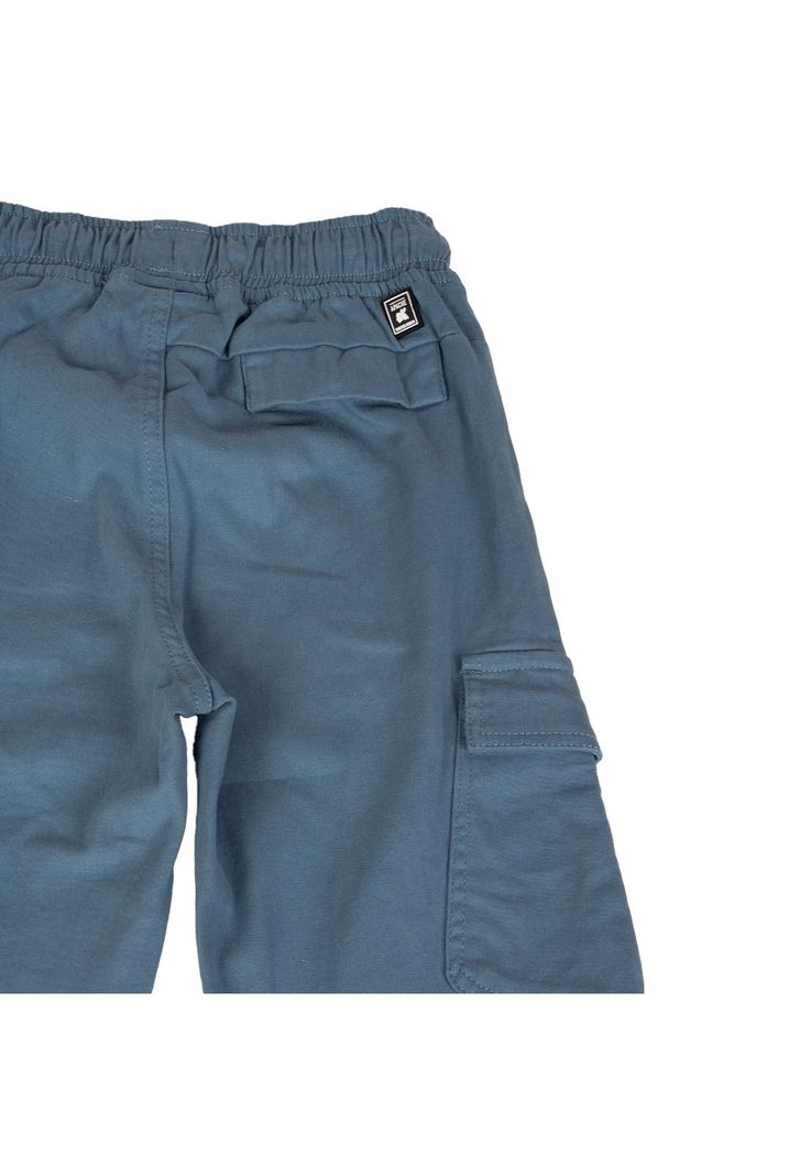 Pantalón  Gris Pillin ( PVB814-25GRI )-3