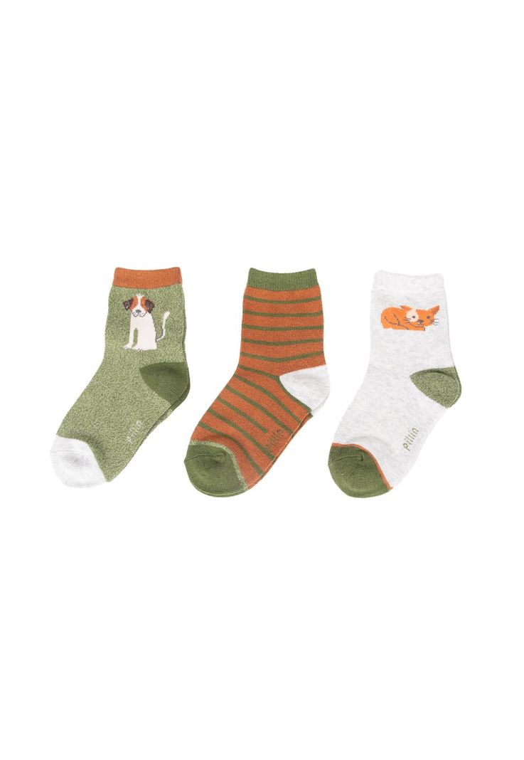 Calcetines  Multicolor Nino Pillin (PAD124-26SUR)