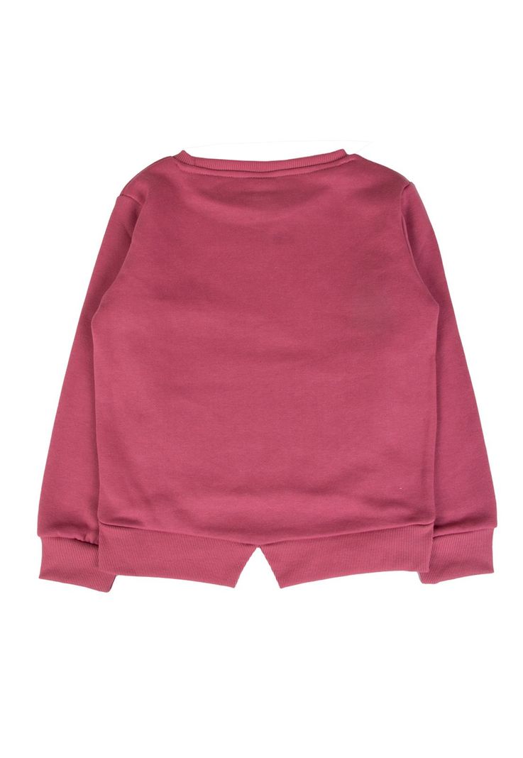 Polerón  Rosado Pillin ( PVB506-25RSA )-2