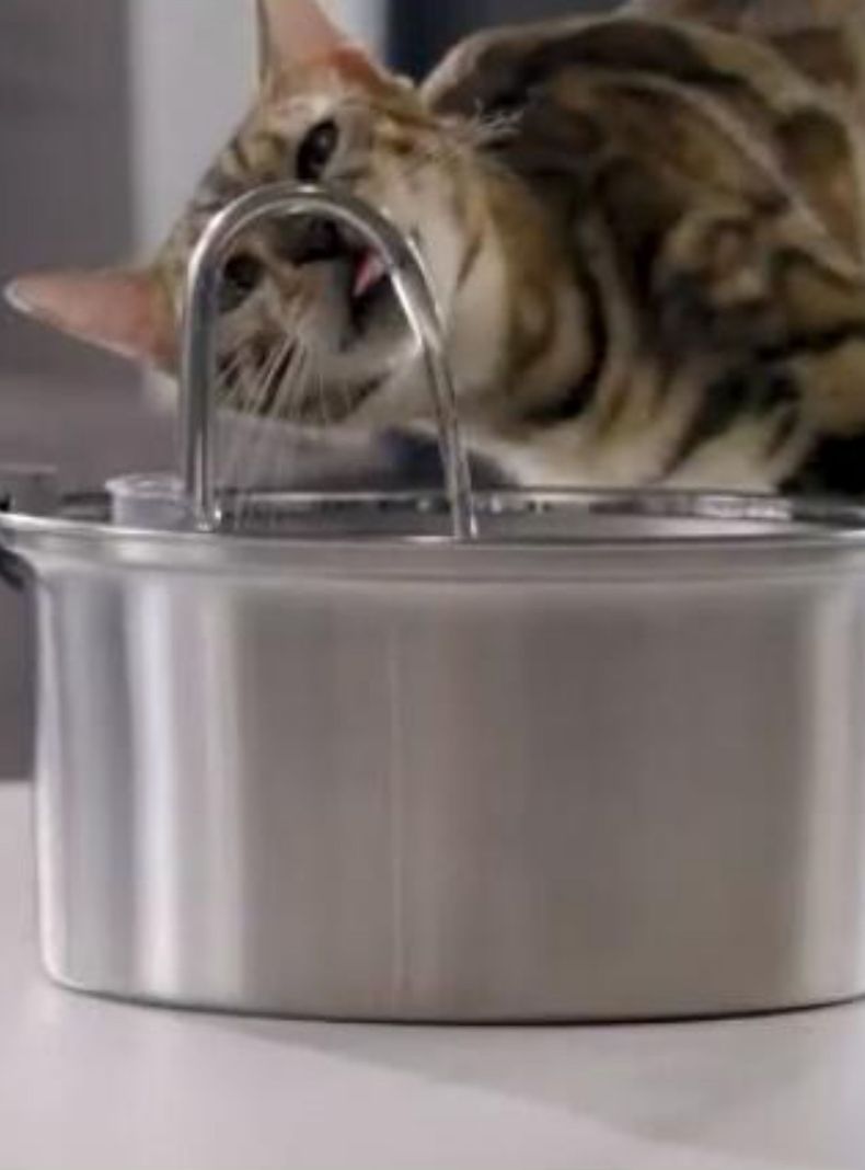Bebedero Gato Acero Inox Llave Silenciosa + 4 filtros-6