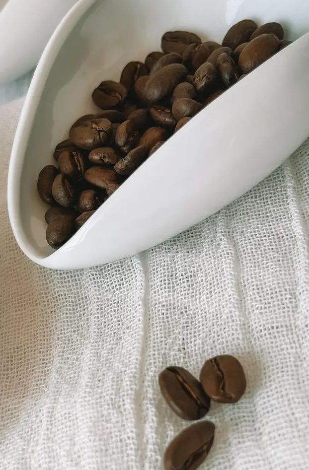 Cuenco de cerámica para granos de café-3