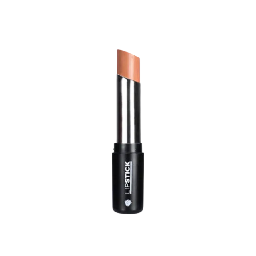 SET Delineador para labios Y labial en barra mismo tono - imagen 3